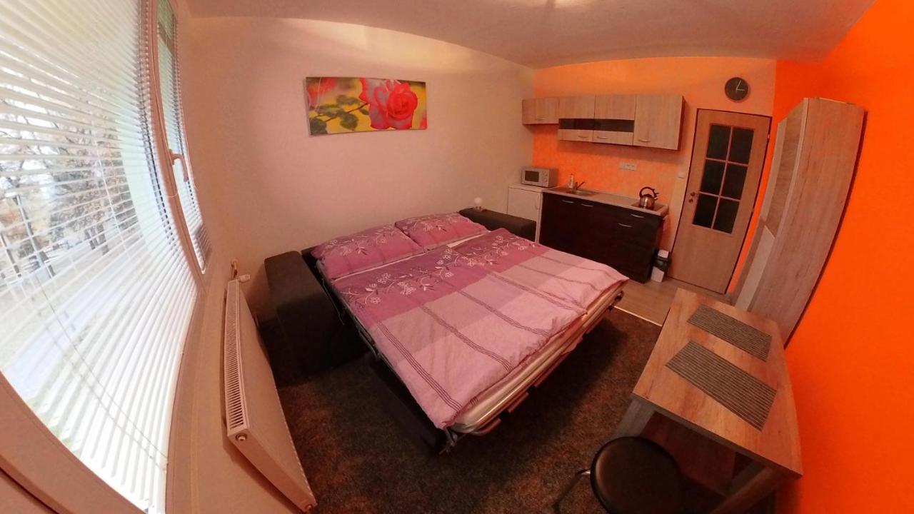 Garsonka Hliník Lägenhet Třeboň Exteriör bild